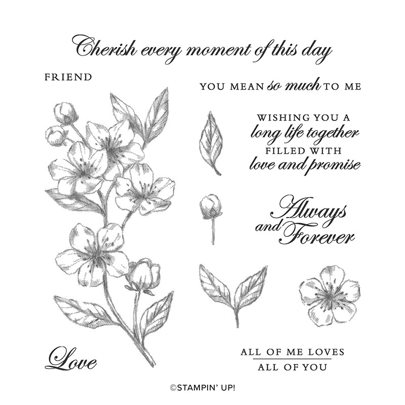 Forever Blossoms stamp set