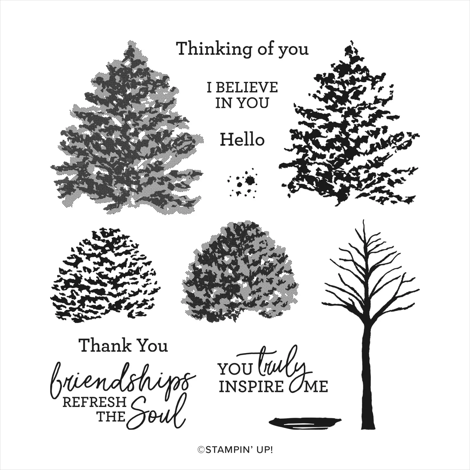 Beauty of Friendship Stampin' Up! stamp set