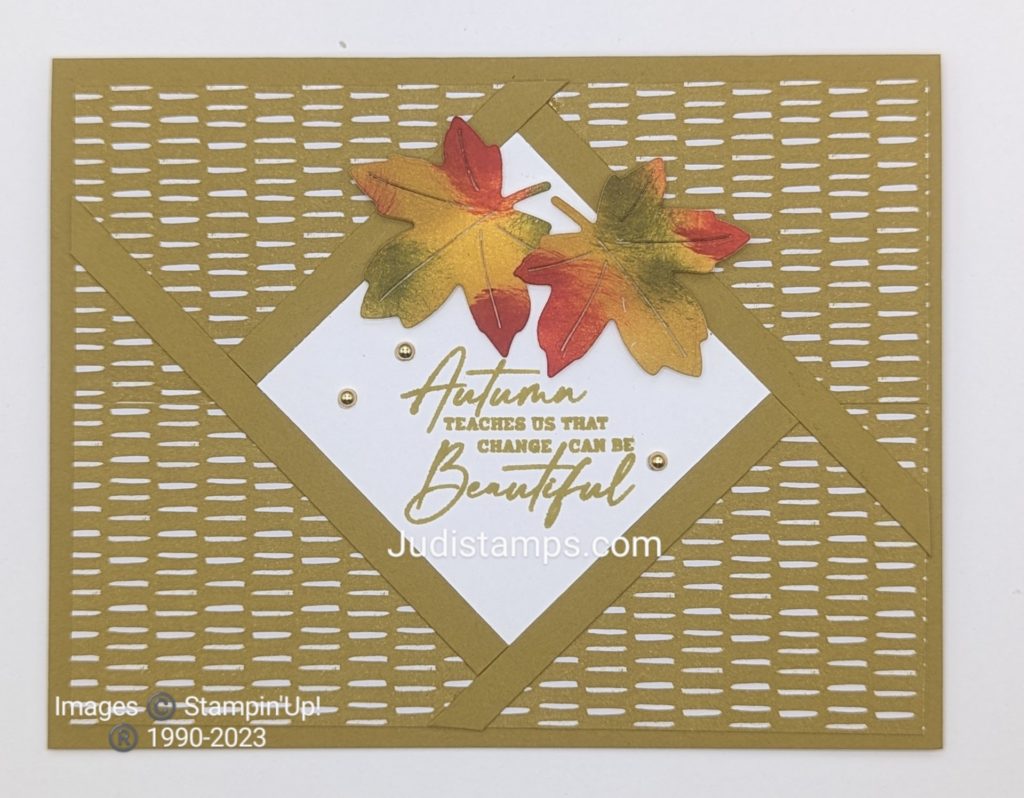 Vibrant Autumn Leaves on a fractured card