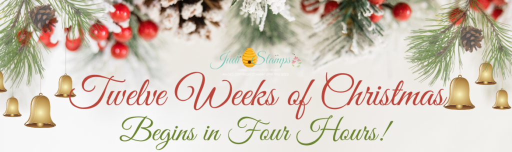 Only Four Hours Left for Our T12 Weeks of Christmas.