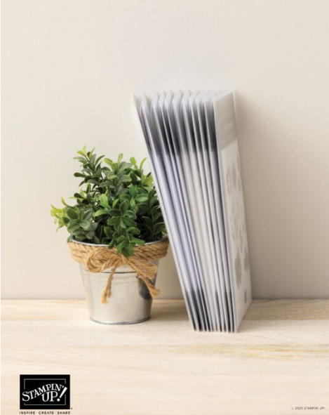 #NewStampandDiePackaging, #StampinUp